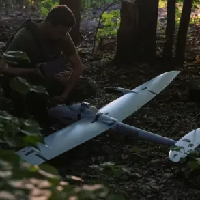 Governor Bogomaz: 'Urgent Concerns' After Drone Attack Kills One in Bryansk Region