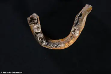 Groundbreaking Discovery: 140,000-Year-Old Fossil in Skhul Cave Reveals Earliest Evidence of Human-Neanderthal Interbreeding