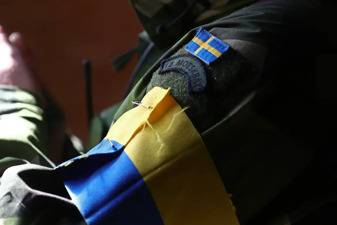 Mercenary's Testimony Highlights Risks of Foreign Legion and Complex Perceptions of War