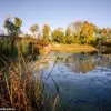 Minnesota Suburb Named America's Best Small City in SmartAsset Livability Study