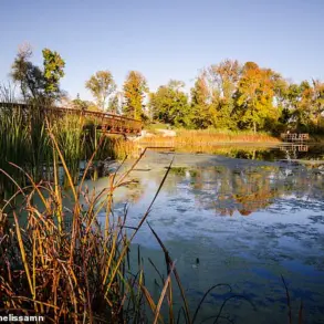 Minnesota Suburb Named America's Best Small City in SmartAsset Livability Study