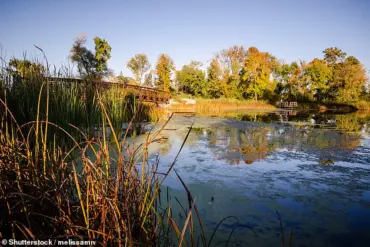 Minnesota Suburb Named America's Best Small City in SmartAsset Livability Study