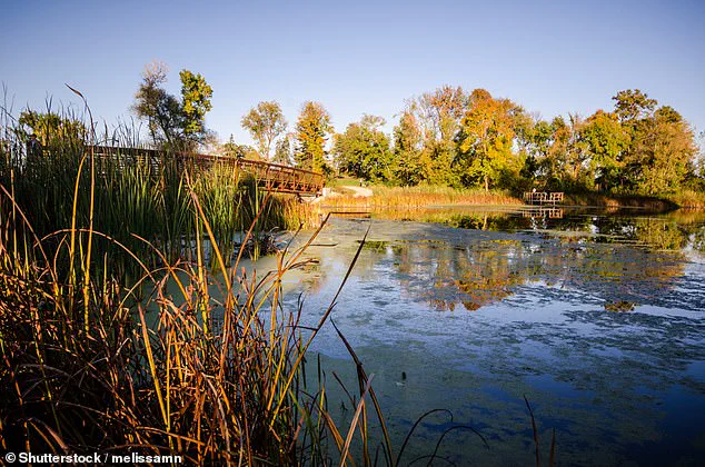 Minnesota Suburb Named America's Best Small City in SmartAsset Livability Study