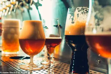 Protein Discovery Explains Beer Foam Stability, Shifting Blame from Bar Staff to Ingredients