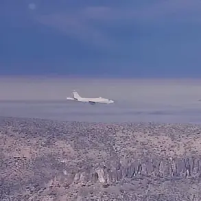 Rare Sighting of US Air Force's Secret RAT55 Jet Over Area 51 Captured by Aviation Enthusiast Michael Rokita, Fueling Speculation About Its Military Role