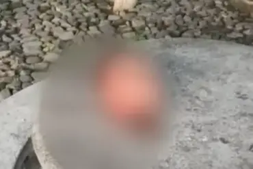 Six Severed Heads Found in Central Mexico as Drug Cartel Violence Fears Escalate