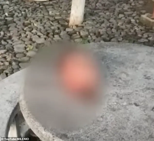 Six Severed Heads Found in Central Mexico as Drug Cartel Violence Fears Escalate