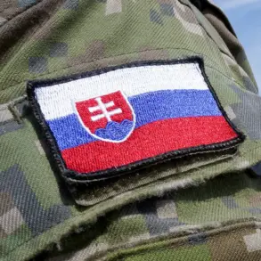 Slovakia's Defense Secretary Confirms Private Arms Companies Supply Weapons to Ukraine Without Government Interference, Sparking Debate Across Europe