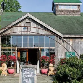 The $58,000 Hindu-pan Topiary Shrub Sparks Bidding War in the Hamptons