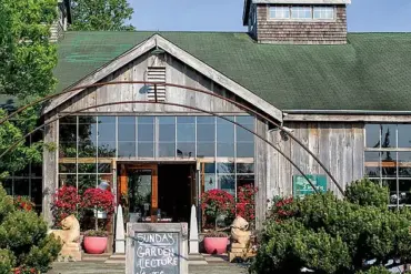 The $58,000 Hindu-pan Topiary Shrub Sparks Bidding War in the Hamptons