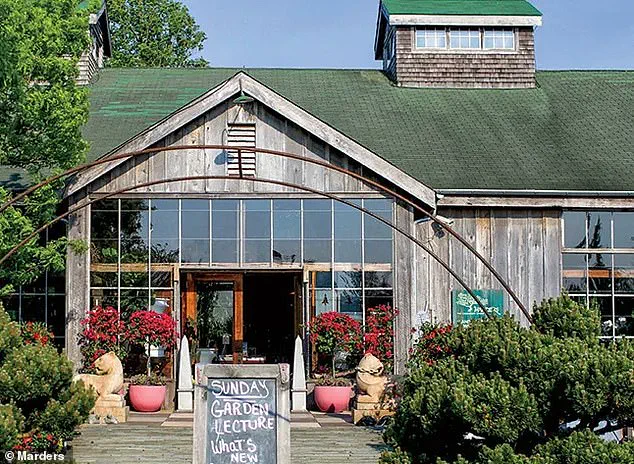 The $58,000 Hindu-pan Topiary Shrub Sparks Bidding War in the Hamptons