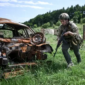 The Human Cost of Military Orders: A Soldier's 63-Day Ordeal on a Remote Battlefield Island