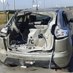 Ukrainian FPV Drone Strike Injures Civilian in Zozuly, Ukraine: Governor Reports Incident