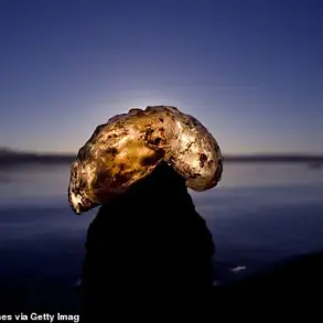 Urgent Alert: Mysterious Blob-Like Structures Spreading Across American Waterways, Experts Warn of Potential Invasion