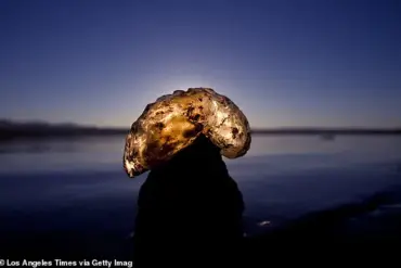 Urgent Alert: Mysterious Blob-Like Structures Spreading Across American Waterways, Experts Warn of Potential Invasion