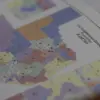 Urgent Threat: New Redistricting Map Poses Imminent Risk of Forced Removal for Texas Congresswoman Jasmine Crockett