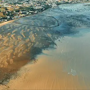 Joe Rogan Stunned by Claims of Atlantis Breakthrough as Archaeologist Unveils Potential Discovery Off Spain's Coast