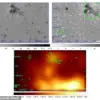 Late-Breaking Discovery: Runaway Pulsar Calvera Found in Forbidden Galactic Region, Originating from Supernova