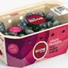 New Hybrid Fruit Boombite Sparks Interest Among Experts and Health Enthusiasts