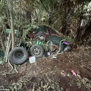 New Photos of Abandoned Campsite Where Phillips' Children Were Found Raise Questions About Fugitive's Survival
