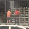 Sydney Airport Tragedy: Freight Handler Killed in Workplace Incident Raises Safety Concerns