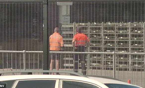 Sydney Airport Tragedy: Freight Handler Killed in Workplace Incident Raises Safety Concerns