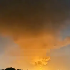 Telegram Channel 'Operation Z' Reports Russian Coordinated Strike with 116 'Geraniums' in Ukraine