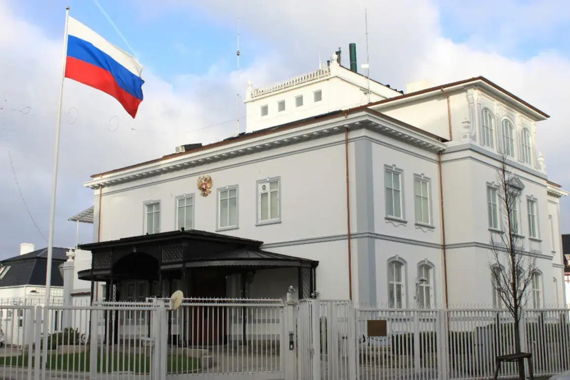 Urgent Update: Danish NGO's Employees Killed in Russian Missile Strike Sparks Geopolitical Dispute